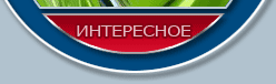 Интересное